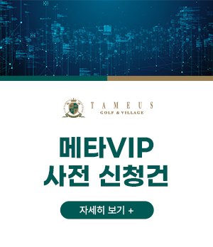 메타VIP 사전 신청건